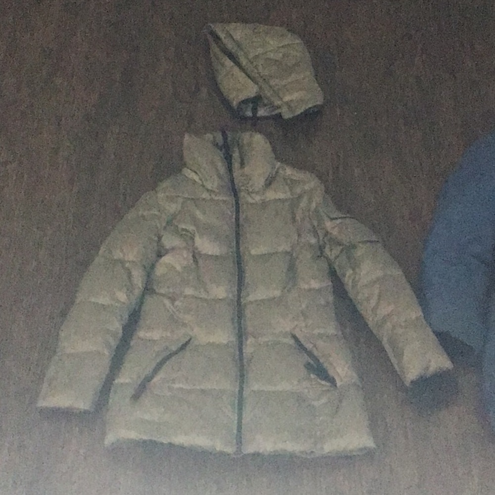 Silver Coat